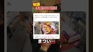 年収900万円でマクドナルドは高くて食べれないという発言が物議を醸している。 #マクドナルド　#年収　#消費税