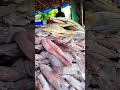 വഴിയോരത്ത് മീൻ നിലവാരമുണ്ട്ട്ടാ fresh fish short video 😍😍😍😍