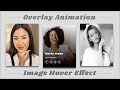 Image Overlay Hover Effect with CSS  Flexbox | CSS Image Hover Effect