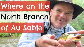 Guide to Fly Fishing on the North Branch Au Sable River