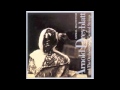 Arnold Dreyblatt & the Orchestra of Excited Strings - Animal Magnetism (1995)