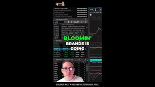 Bloomin' Brands Stock Analysis_ Is it a Good Investment in 2024_