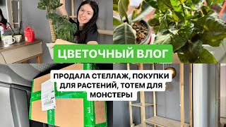 Разговорная пересадка, новые кашпо для растений, тотем для монстеры