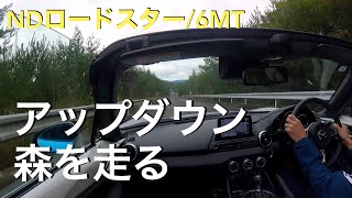 【NDロードスター/6MT】森の中で運動性能を味わう　中速域で適度なアップダウン【車載動画】