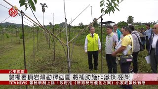 農糧署頂岩灣勘釋迦園 將補助施作鐵條.棚架2019-05-02 IPCF-TITV 原文會 原視新聞