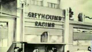 The Greyhound and the Rabbit