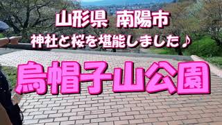 観光気分 ～「烏帽子山公園」～ 全国の有名桜の二代目が集結してました♪ 山形県 南陽市