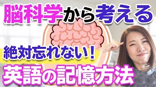 【英語 勉強】英会話の記憶方法を脳科学の観点から考える