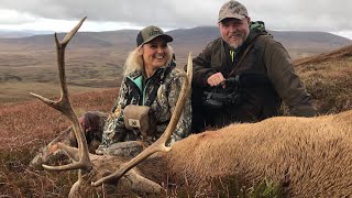 Hunting red stags in the Scottish hihglands.