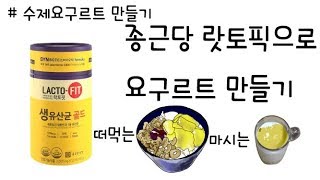 락토핏으로 요구르트 만들기