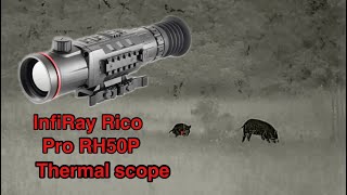 Infiray Rico pro thermal scope review IRay USA #nighthunting #thermal #thermalhunting #iray #hunting