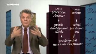 Merci Professeur   Procès verbal