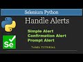 How to Handle Alert in Selenium Python | Types of Alert | Selenium Python Tutorial in Tamil