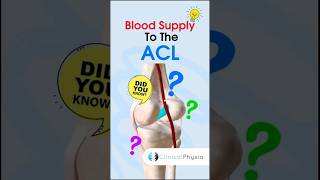 ACL Blood Supply #physiotherapy #physicaltherapy #acl #kneeinjury