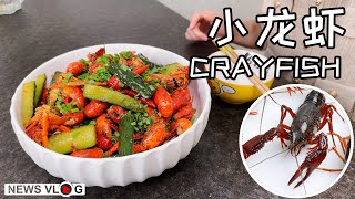 Spicy Crayfish Cooking Experience | Home-cooked Cuisine Food Sharing | Delicious Recipes | Vlog