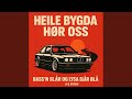 Heile Bygda Hør Oss (feat. Bassy Bouke)