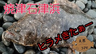 焼津石津浜でヒラメ！！