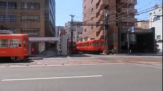 【路面電車と平面交差・独特の通過音】伊予鉄道ダイヤモンドクロス踏切