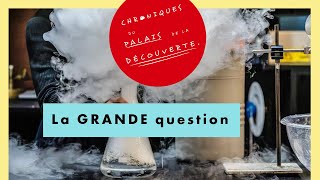 La GRANDE question  - Chroniques du Palais de la découverte - Épisode 18