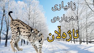 ١١ زانیاری دەربارەی ئاژەڵان کە تۆ نەتدەزانی