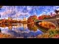Autumn water reflections (HD1080p)