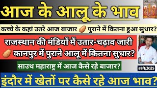 8/1/25 कच्चे आलू के कहां उतरे आज बाजार 🥔 राजस्थान में गिरावट का क्या कारण? साउथ महाराष्ट्र के भाव🥔