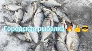 Рыбалка в городе! ( усолка канал)🔥👍🙂#павлодар #youtube #подлещик #fishing #плотва #рыбалка #ютуб