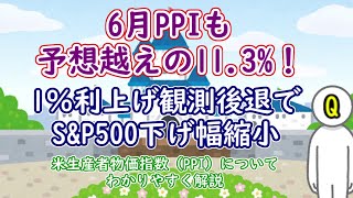 6月PPIも予想越えの11.3%！1％利上げ観測後退でS\u0026P500下げ幅縮小ーPPIについてわかりやすく解説＆CPIとの関係も