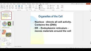Module 6- PowerPoint Accessibility