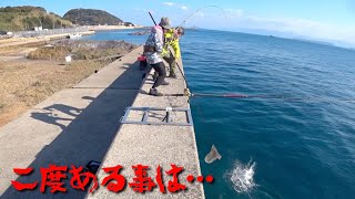 この海域でこの魚は予想してませんでした。(Vol.774)