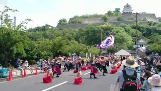 高松よさこい連　まるがめ婆娑羅まつり2018大手門東2日目