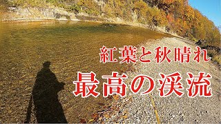 【北海道 渓流ルアーフィッシング】 紅葉と秋晴れの渓流はテンション高く！お魚さんが連続ヒット Hokkaido. Small Stream Lure Fishing.