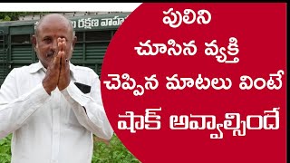 కే కోటపాడు మండలం ఆర్లేలో పెద్ద పులిని చూసిన వ్యక్తి మాటలు వింటే షాక్ అవ్వాల్సిందే