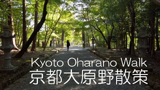 京都大原野散策2020　京都市 Kyoto Oharano Walk 2020 Kyoto Japan