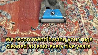 Nilipour Oriental Rugs - Essential Business - Rug Cleaning