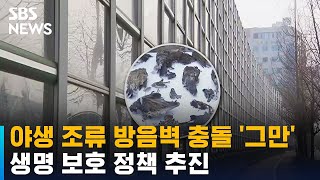 야생 조류 방음벽 충돌 '그만'…생명 보호 정책 추진 / SBS