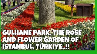 GULHANE PARK, THE ROSE \u0026 FLOWER GARDEN IN ISTANBUL, TÜRKIYE… SUCH A REFRESHING SIGHT..!!