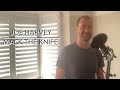 Bobby Darin - Mack The Knife  (Cover by Joe Harvey)