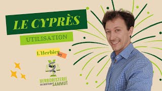 I L’Herbier du Docteur Sammut - Le cyprès, son utilisation 🍃⚖️✨