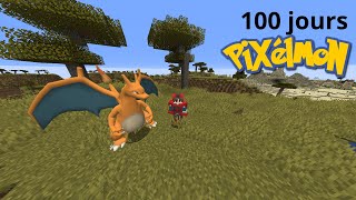 J'ai passé 100 JOURS sur PIXELMON !