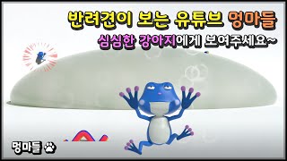 #멍마들  심심한 강아지를 위한 놀이영상 | 반려견이 보는 유튜브 - Youtube for Dogs