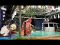 悪狐伝　2024.10.19.松尾山八幡宮秋祭り 石見神楽・都神楽団 2024.10.19. akkoden iwami kagura