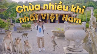 Ngôi chùa nhiều khỉ nhất Việt Nam I Thiền Viện Trúc Lâm Chân Nguyên, Núi Minh Đạm