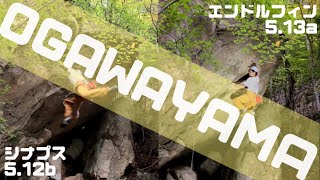 小川山屋根岩　エンドルフィン(5.13a)、シナプス(5.12b)、キイロスズメバチ襲来　climber チャンプ