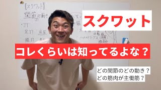 【講義:スクワット】知らなきゃヤバい！スクワットの機能解剖学