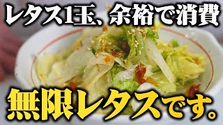 【1日でなくなる】余ったレタス全部これにして！ 無限に食べられるやみつきレタス 【板前歴20年の常備菜】