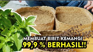 Cara Mudah Menanam Kemangi Dari Biji / Bunga | 99.9% BERHASIL!!