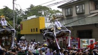 2015年　寒川町＜湘南連合神輿保存会＞結成四十周年記念渡御＝後編