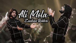 Ali Mola Ki Ezat Pak Zahra | Nabi A Asra | Zeeshan Rokhri | New Qasida | Tiktok Viral 2022