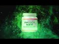 paluch m u0026m climo remix